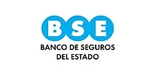 BSE